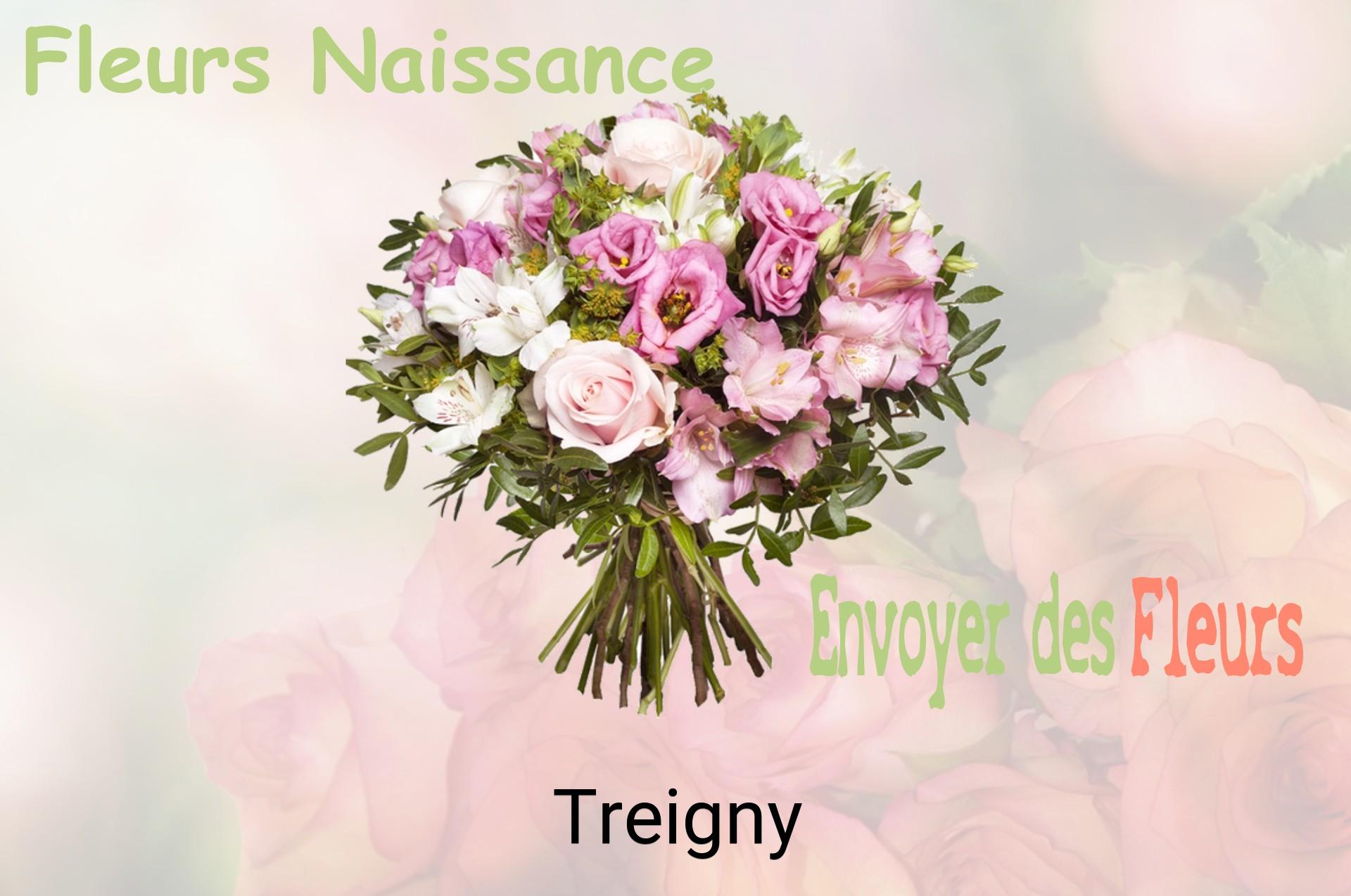 Bouquet de fleurs de naissance livré à Treigny