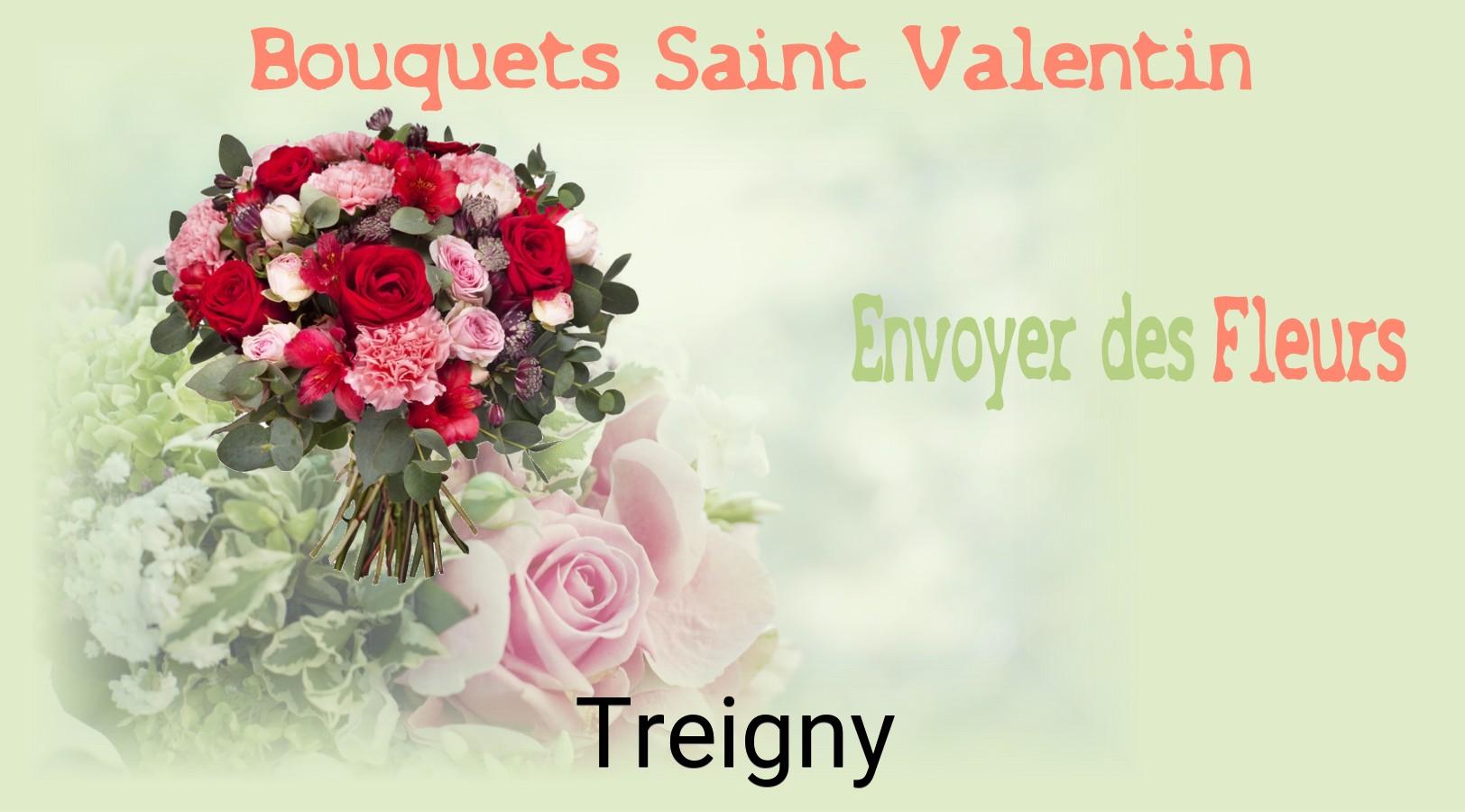 Roses de Saint-Valentin livrées à Treigny