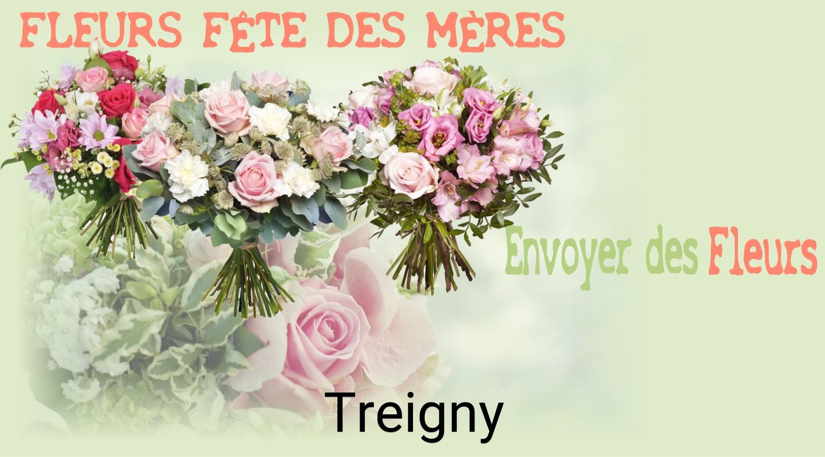 Bouquet de Fête des Mères livré à Treigny